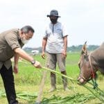 WhatsApp Image 2021 07 04 at 04.04.02(1)