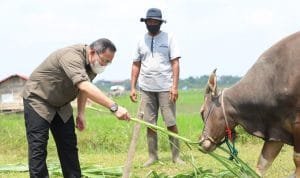 WhatsApp Image 2021 07 04 at 04.04.02(1)