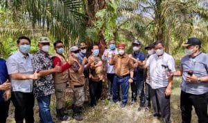 WhatsApp Image 2021-07-15 at 01.12.01 WhatsApp Image 2021 07 15 at 01.12.01