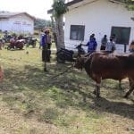 WhatsApp Image 2021 07 15 at 01.12.54(2)