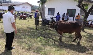 WhatsApp Image 2021-07-15 at 01.12.54(2) WhatsApp Image 2021 07 15 at 01.12.54(2)