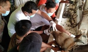 WhatsApp Image 2021-07-16 at 04.31.52(1) WhatsApp Image 2021 07 16 at 04.31.52(1)