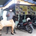 WhatsApp Image 2021 07 17 at 06.30.47(1)