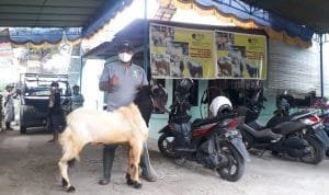 WhatsApp Image 2021 07 17 at 06.30.47(1)