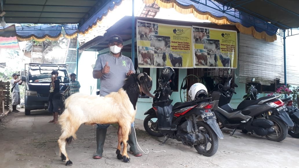 Whatsapp image 2021 07 17 at 06.30.47(1)