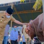 WhatsApp Image 2021 07 19 at 03.28.51