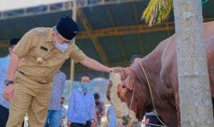 WhatsApp Image 2021-07-19 at 03.28.51 WhatsApp Image 2021 07 19 at 03.28.51