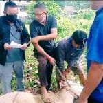 WhatsApp Image 2021 07 20 at 22.40.42