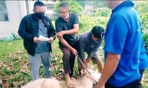 WhatsApp Image 2021-07-20 at 22.40.42 WhatsApp Image 2021 07 20 at 22.40.42