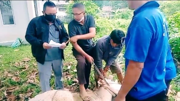 WhatsApp Image 2021-07-20 at 22.40.42 WhatsApp Image 2021 07 20 at 22.40.42