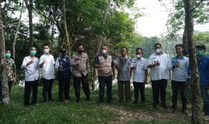 WhatsApp Image 2021 08 03 at 17.14.54