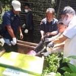 WhatsApp Image 2021 08 10 at 01.37.37