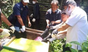 WhatsApp Image 2021 08 10 at 01.37.37