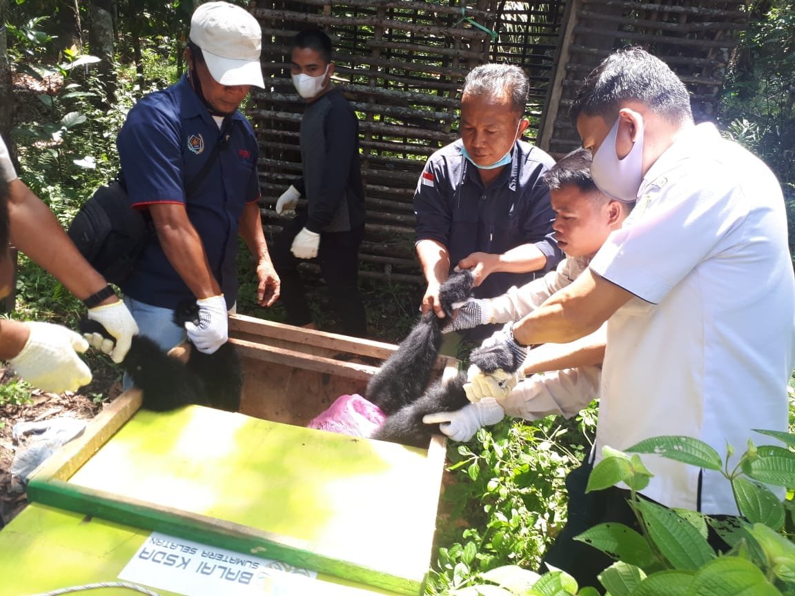 WhatsApp Image 2021 08 10 at 01.37.37