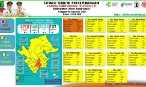 WhatsApp Image 2021 08 16 at 06.39.12