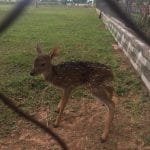 WhatsApp Image 2021 08 17 at 07.32.28