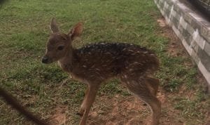 WhatsApp Image 2021-08-17 at 07.32.28 WhatsApp Image 2021 08 17 at 07.32.28