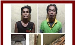 WhatsApp Image 2021-08-17 at 07.38.50 WhatsApp Image 2021 08 17 at 07.38.50