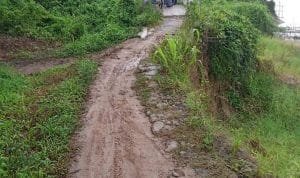 WhatsApp Image 2021 09 14 at 01.15.34