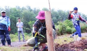 WhatsApp Image 2021 11 14 at 00.44.31