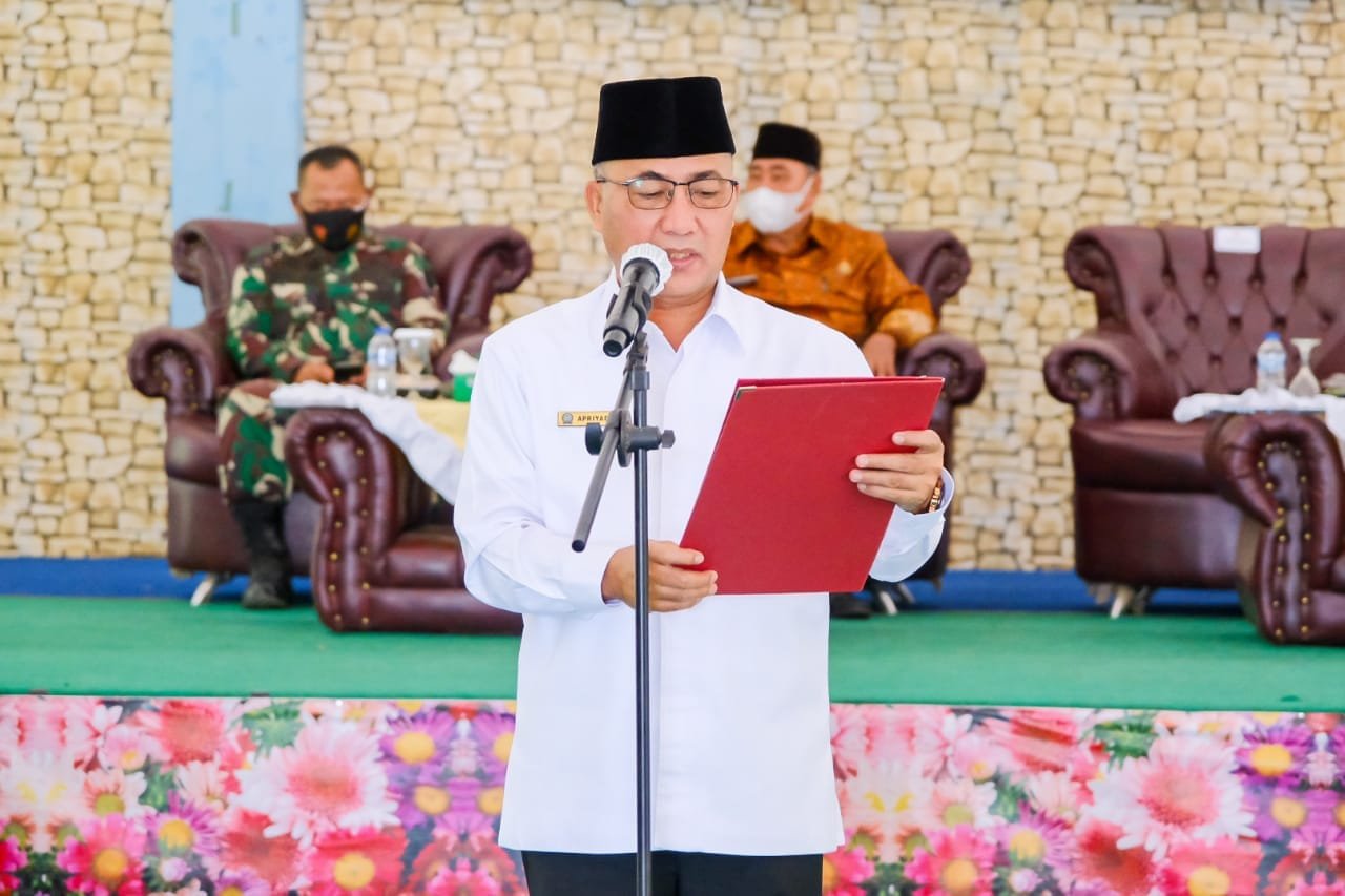 WhatsApp Image 2021 11 15 at 22.57.16