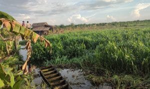 Whatsapp image 2021 12 15 at 22.51.40