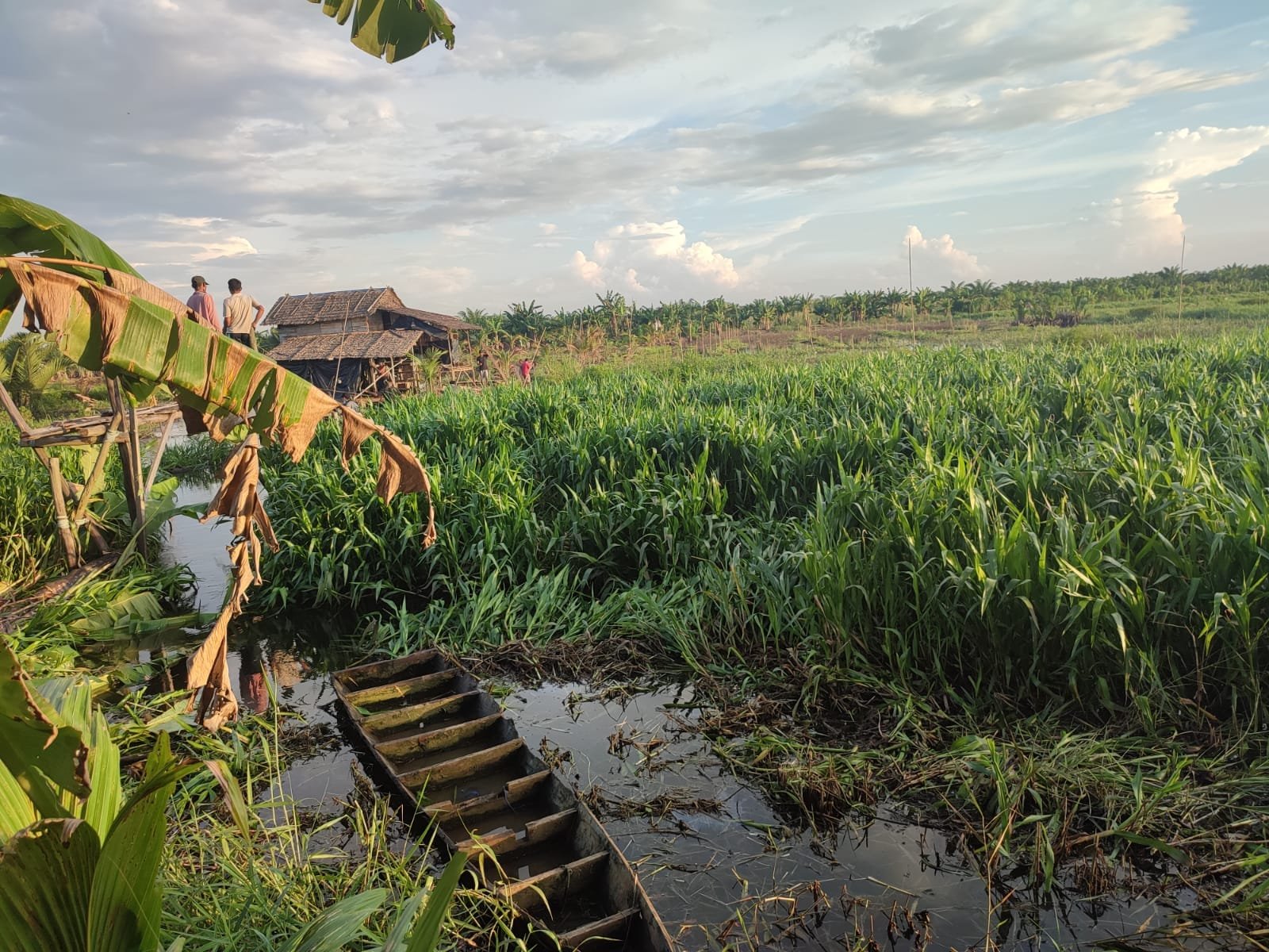 Whatsapp image 2021 12 15 at 22.51.40