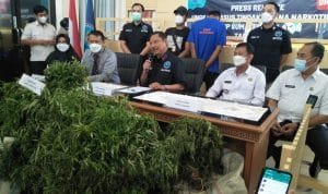 WhatsApp Image 2022 02 02 at 22.47.19