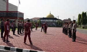 WhatsApp Image 2022 05 20 at 18.17.09