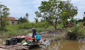 Whatsapp image 2022 06 15 at 01.46.04