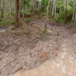 Whatsapp image 2022 08 01 at 22.33.42