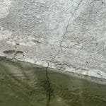 Whatsapp image 2022 08 10 at 01.47.52