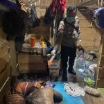 WhatsApp Image 2022-09-14 at 18.16.23 Whatsapp image 2022 09 14 at 18.16.23