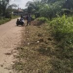 WhatsApp Image 2022-11-01 at 00.29.55 Whatsapp image 2022 11 01 at 00.29.55