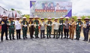 WhatsApp Image 2022 11 09 at 05.02.29