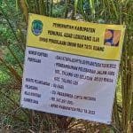 WhatsApp Image 2022-11-10 at 02.26.08(1) Whatsapp image 2022 11 10 at 02.26.08(1)