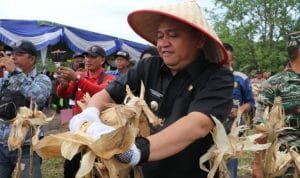 WhatsApp Image 2022-11-18 at 16.43.34 WhatsApp Image 2022 11 18 at 16.43.34