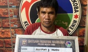 WhatsApp Image 2022 11 29 at 16.56.43