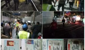 WhatsApp Image 2023 01 19 at 05.57.50