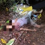 WhatsApp Image 2023 01 24 at 00.01.49