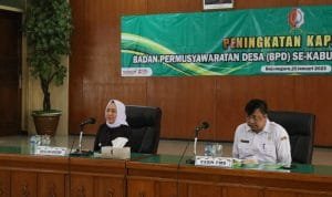 WhatsApp Image 2023 01 24 at 22.29.28