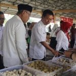 75086297 580f 4229 b6c2 1ba4a98d6fe3