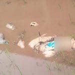 WhatsApp Image 2023-02-15 at 22.15.38 WhatsApp Image 2023 02 15 at 22.15.38