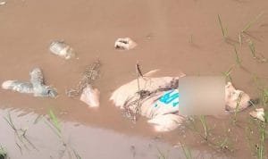 WhatsApp Image 2023 02 15 at 22.15.38