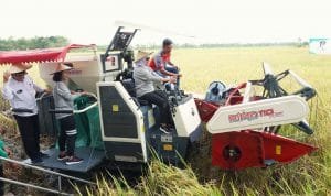 WhatsApp Image 2023 02 24 at 02.07.01