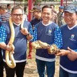 WhatsApp Image 2023-02-25 at 02.42.06 WhatsApp Image 2023 02 25 at 02.42.06