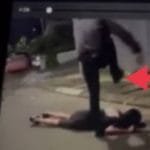 WhatsApp Image 2023 02 26 at 04.29.36