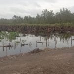 WhatsApp Image 2023 02 27 at 21.43.55