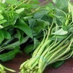 WhatsApp Image 2023-02-28 at 16.46.22 WhatsApp Image 2023 02 28 at 16.46.22