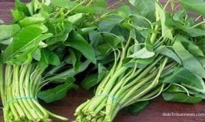 WhatsApp Image 2023-02-28 at 16.46.22 WhatsApp Image 2023 02 28 at 16.46.22